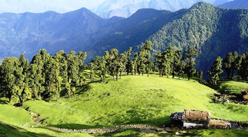 Binsar Trek